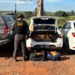 DOF apreende mais de 300 quilos de drogas em Anaurilândia e prende batedor