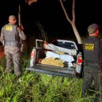 DOF apreende mais de 400 quilos de drogas em Ponta Porã