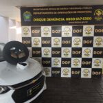 DOF prende homem em Dourados transportando droga em pneu