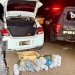Homem e mulher são presos pelo DOF com drogas em táxi