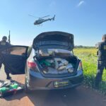 Operação conjunta entre DOF e Denarc do Paraná resulta na apreensão de mais de 300 quilos de drogas em Dourados