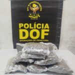 Passageira de aplicativo que seguia com droga junto ao corpo é presa pelo DOF em Maracaju