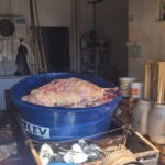 Polícia Civil e IAGRO apreendem quase duas toneladas de carne imprópria para consumo em Selvíria