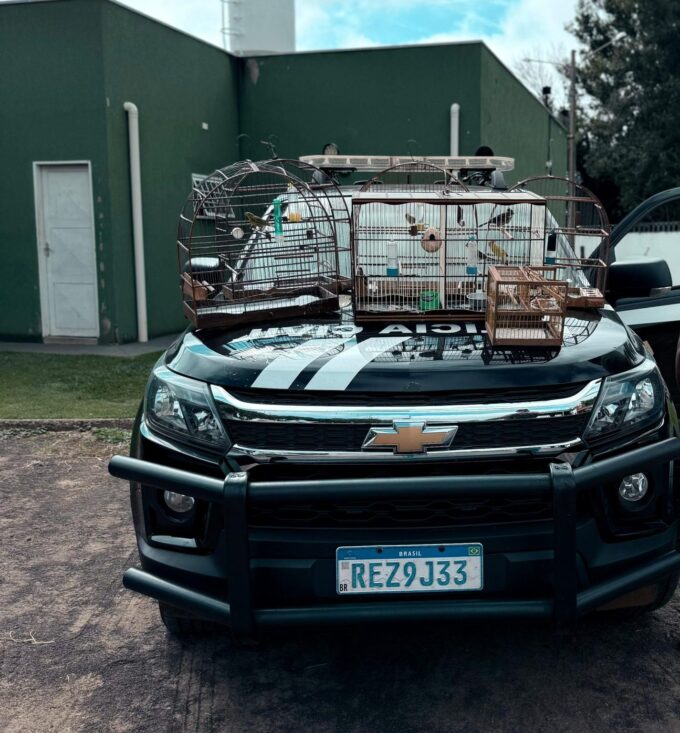 Polícia Civil identifica crime ambiental durante cumprimento de mandado em Chapadão do Sul