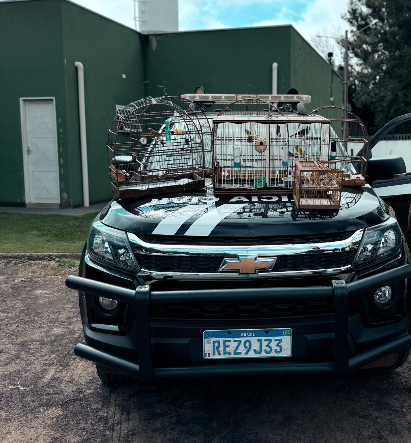 Polícia Civil identifica crime ambiental durante cumprimento de mandado em Chapadão do Sul