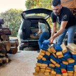 Polícia Civil incinera mais de 200kg de maconha em Camapuã