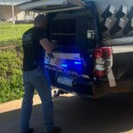 Polícia Civil prende mulher que ajudou o filho a estuprar idosa em Ivinhema