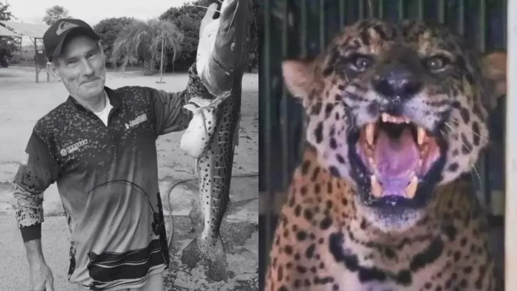 Um mês depois, família não sente mágoa de onça que matou Jorginho ...