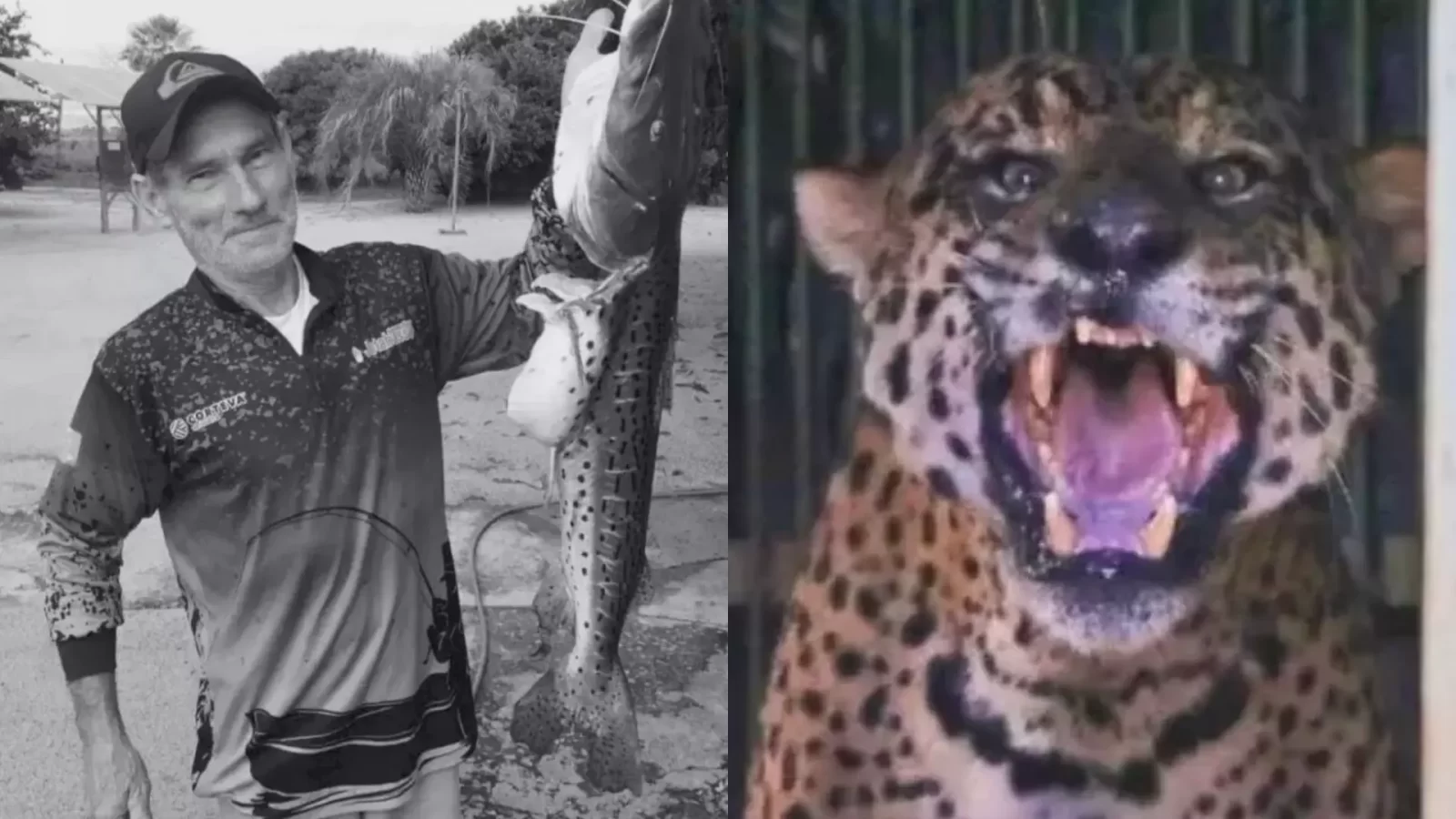 Um mês depois, família não sente mágoa de onça que matou Jorginho