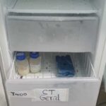 Bebês internados precisam de leite humano