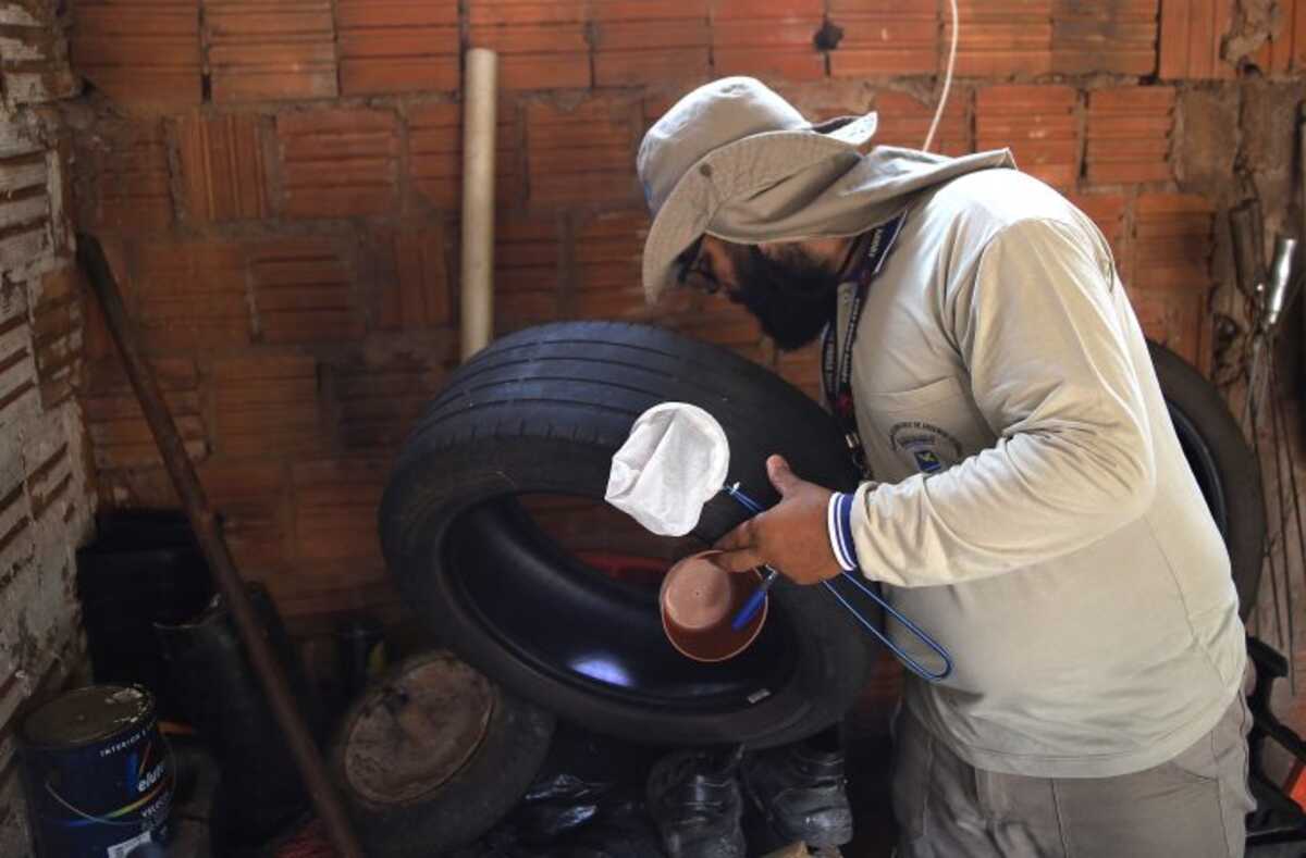Curso ensina agentes a lidar com dengue, Zika e chikungunya