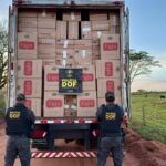 DOF apreende caminhão com 30 mil pacotes de cigarros contrabandeados em Mundo Novo