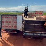DOF apreende dois caminhões com quase 20 mil pacotes de cigarros contrabandeados do Paraguai