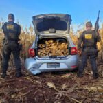 DOF apreende mais de 420 quilos de drogas em Aral Moreira que seguiam para Bataguassu