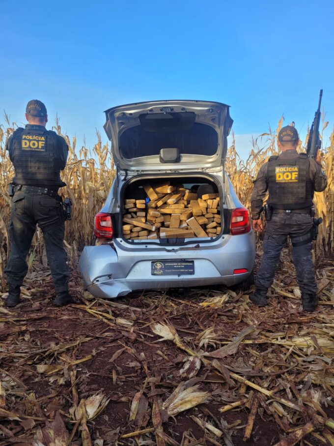 DOF apreende mais de 420 quilos de drogas em Aral Moreira que seguiam para Bataguassu
