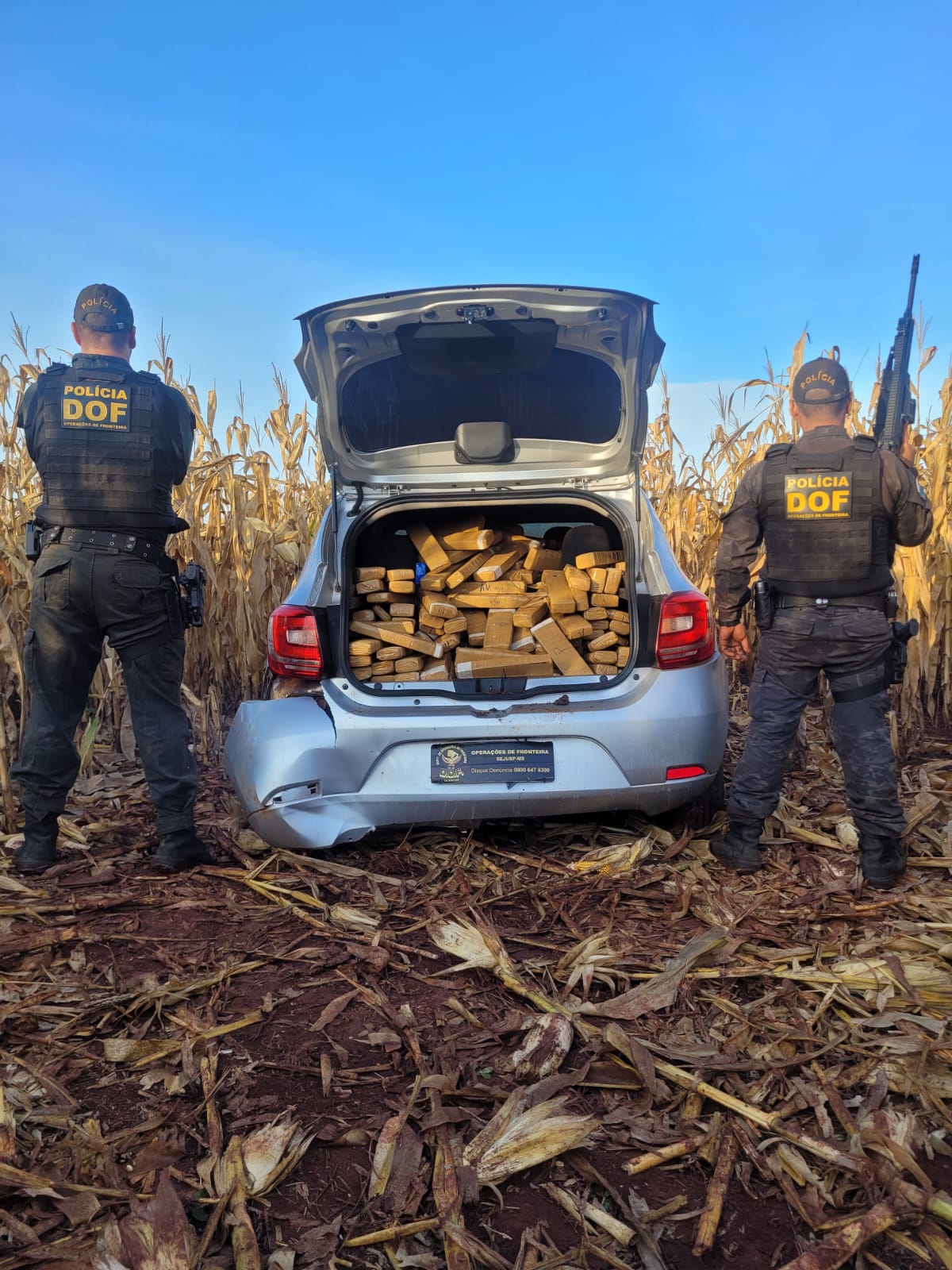 DOF apreende mais de 420 quilos de drogas em Aral Moreira que seguiam para Bataguassu