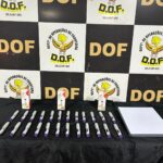 DOF apreende veículo que seguia para Campo Grande com canetas de Mounjaro