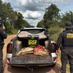 DOF prende cinco pessoas pelo crime de abigeato em Corumbá