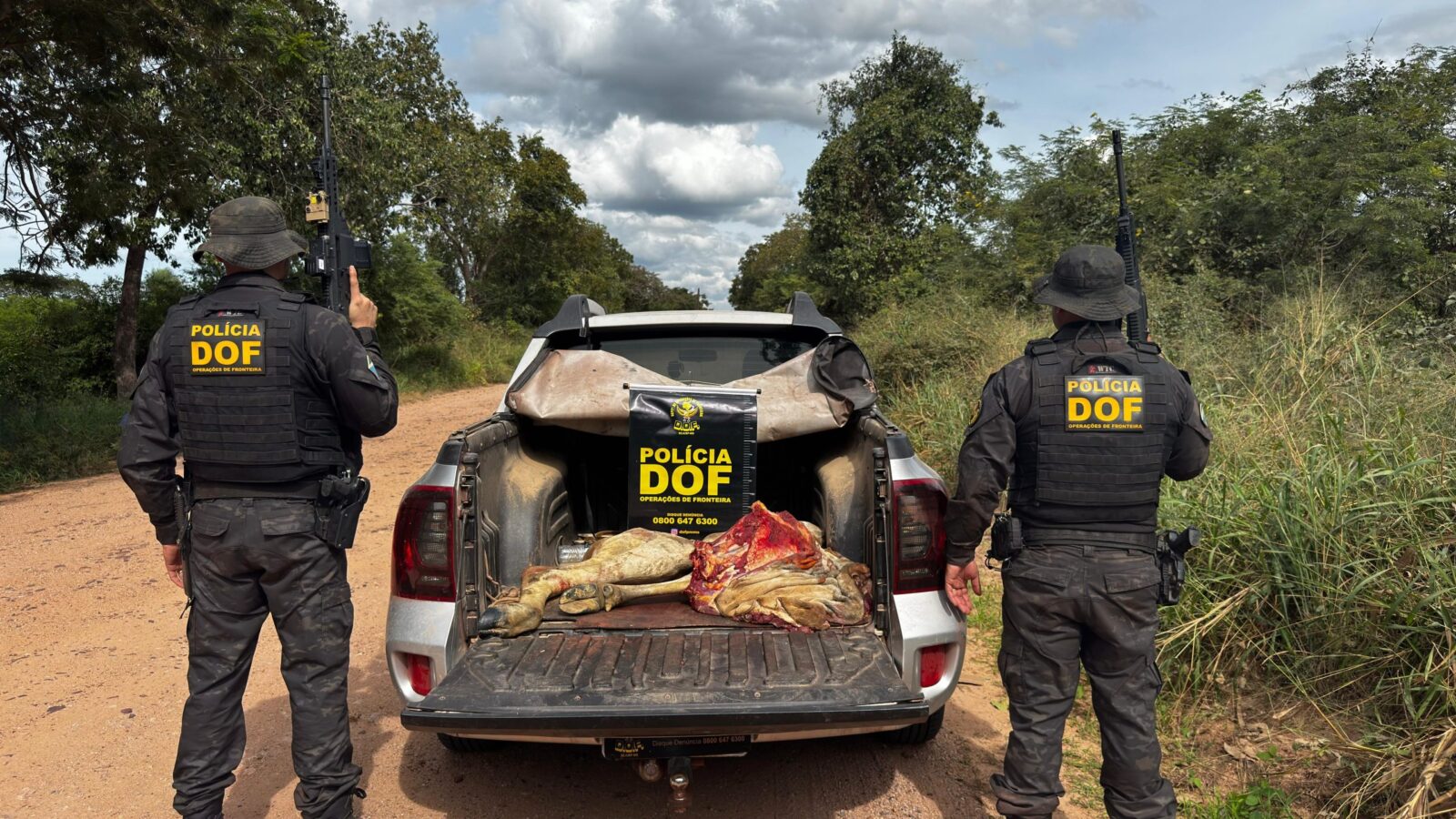 DOF prende cinco pessoas pelo crime de abigeato em Corumbá