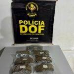 Homem que seguia para Goiás com droga junto ao corpo é preso pelo DOF em Maracaju