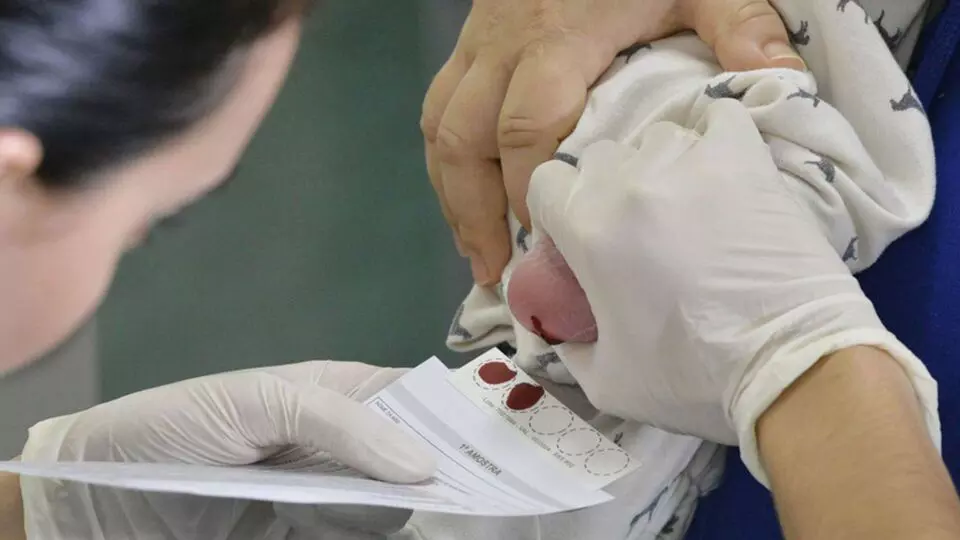 Governo amplia estratégias para combater doença falciforme, que teve 125 casos em 2024 no estado