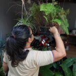 MS registra 7.778 casos confirmados de dengue