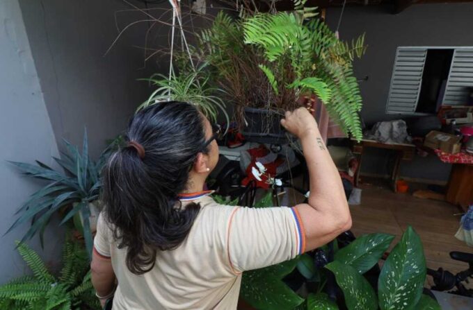 MS registra 7.778 casos confirmados de dengue