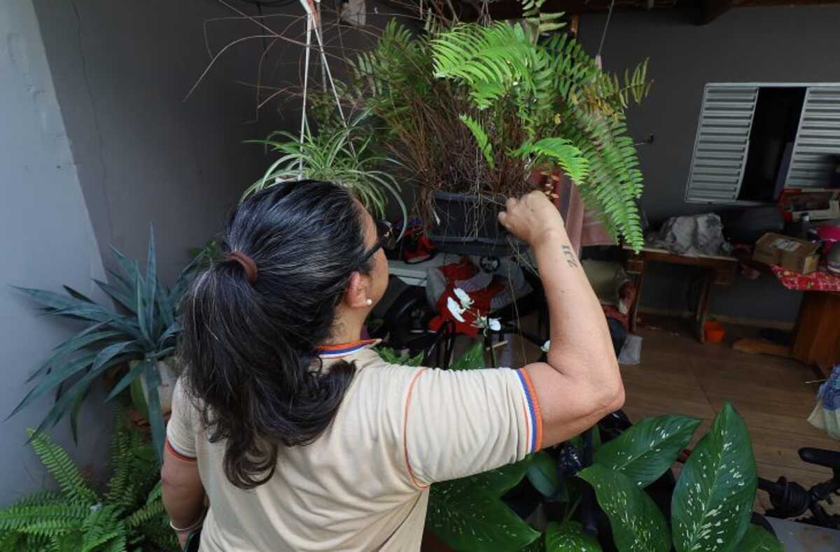 MS registra 7.778 casos confirmados de dengue