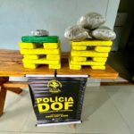 Mulher que seguia com droga para Tacuru é presa pelo DOF em Paranhos