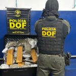 Mulher que seguia com drogas em ônibus para São Paulo é presa pelo DOF em Ponta Porã