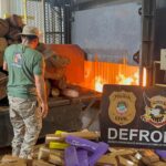 Polícia Civil incinera 9,5 toneladas de drogas em Ponta Porã durante a Operação Protetor
