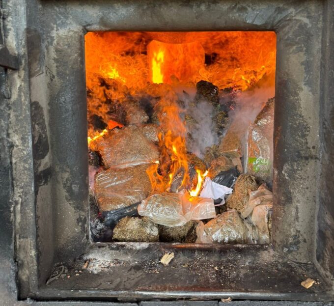 Polícia Civil incinera cerca de uma tonelada de drogas em São Gabriel do Oeste