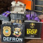 Polícia Civil incinera quase 13 toneladas de drogas em Ponta Porã