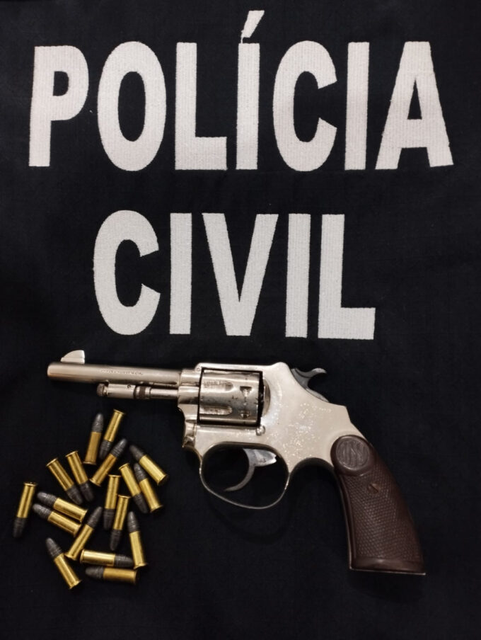 Polícia Civil prende homem em flagrante por posse irregular de arma de fogo em Paraíso das Águas