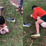 Vídeo: lutador de muay thai imobiliza dois pitbulls após ser atacado em MS