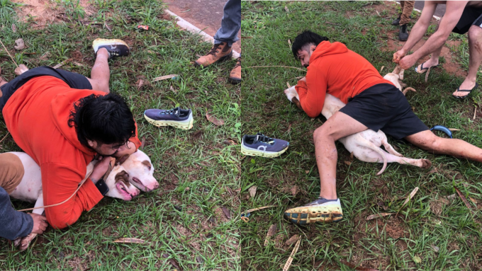 Vídeo: lutador de muay thai imobiliza dois pitbulls após ser atacado em MS