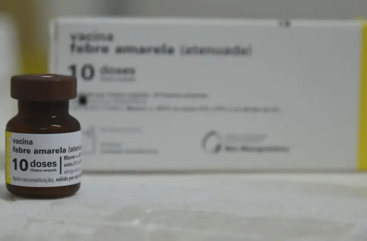 MS completa 10 anos sem casos de febre amarela humana e mantém alerta com vacinação