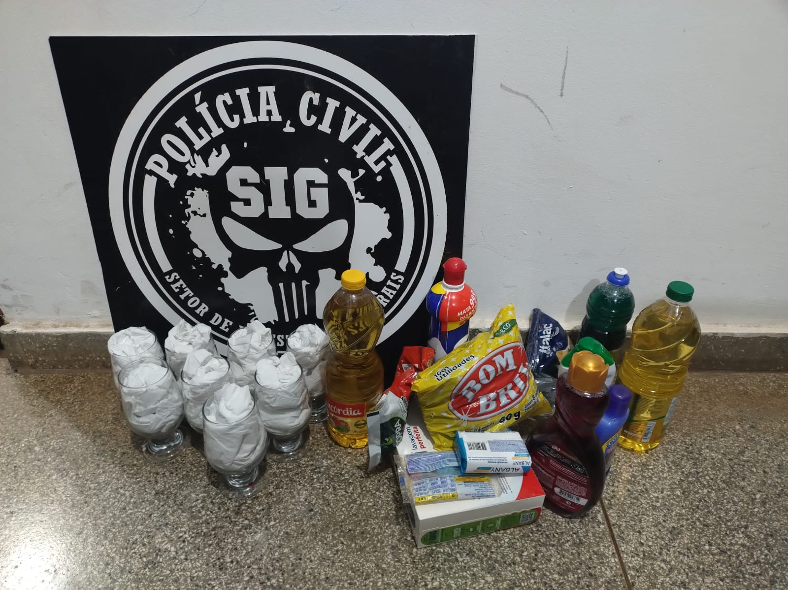 Ação da Polícia Civil resulta em prisão em flagrante por furto qualificado em Aquidauana