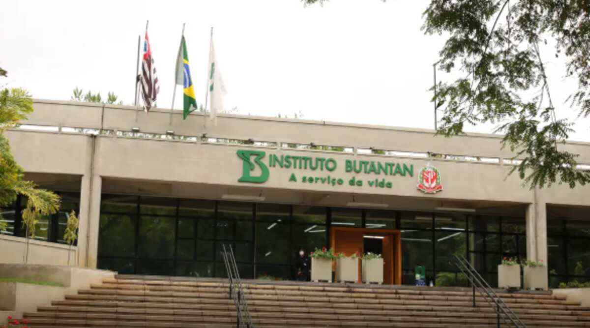 Butantan se prepara para testar vacina contra gripe aviária em humanos