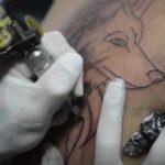 CFM proíbe uso de anestesia para fazer tatuagens no Brasil