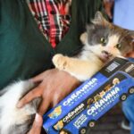 Caravana da Castração inicia atendimentos em 45 municípios