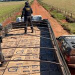 DOF apreende carreta carregada com 25 mil pacotes de cigarros contrabandeados do Paraguai