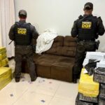 DOF apreende quase 1 tonelada de droga em entreposto em Ponta Porã e recupera veículo roubado