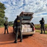 DOF apreende veículo carregado com agrotóxicos em Caarapó