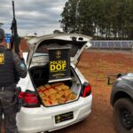DOF apreende veículo que seguia para o Paraná com drogas em Aral Moreira
