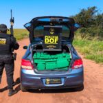 DOF recupera carro furtado em Minas Gerais com quase 400 quilos de drogas que seguiam para São Paulo