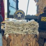 Denúncia leva DOF e Receita Federal a carga milionária de haxixe avaliada em mais de R$ 7 milhões