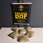 Droga que seguia para aldeia indígena é apreendida pelo DOF em Aral Moreira