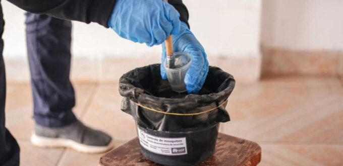 Encontro Estadual para tratar sobre dengue e zica é realizado em MS