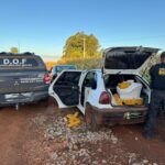 Foragido é recapturado pelo DOF com mais de 300 quilos de drogas em Dois Irmãos do Buriti